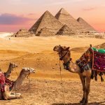 Giza Pyramids Tours for Solo Travelers: Tips To Keep in Mind