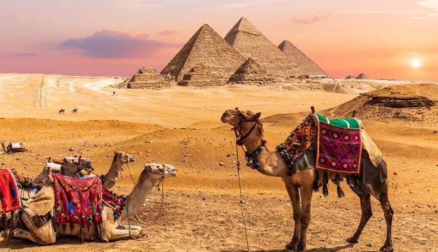 Giza Pyramids Tours for Solo Travelers: Tips To Keep in Mind