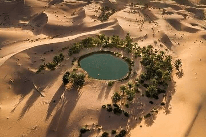 Egypt Travel